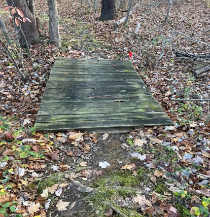 before-image